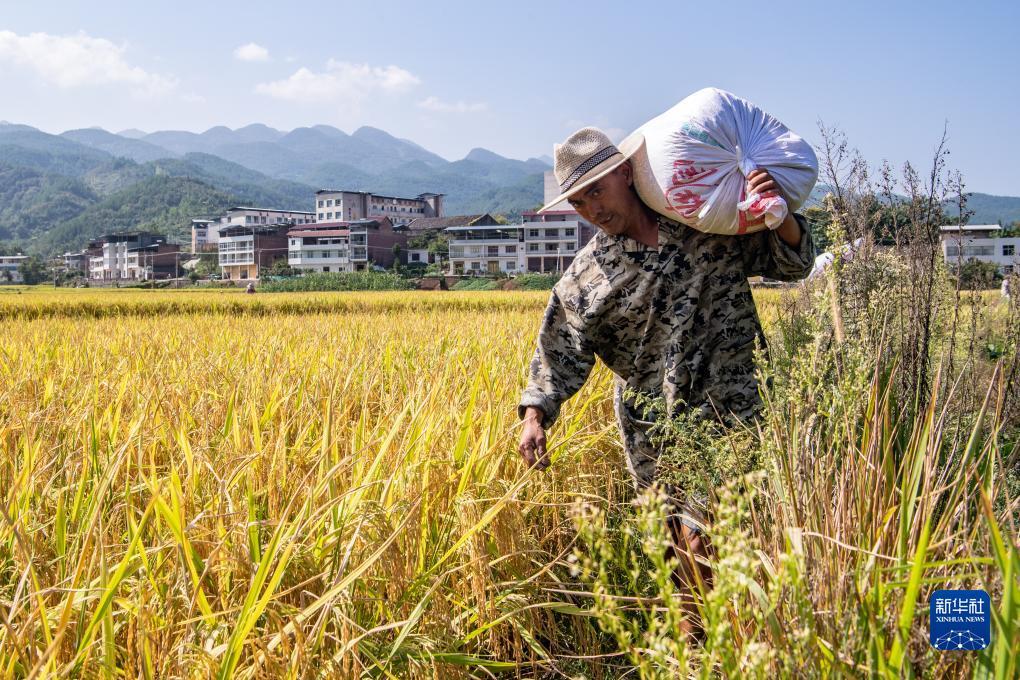 押庄龙虎游戏
